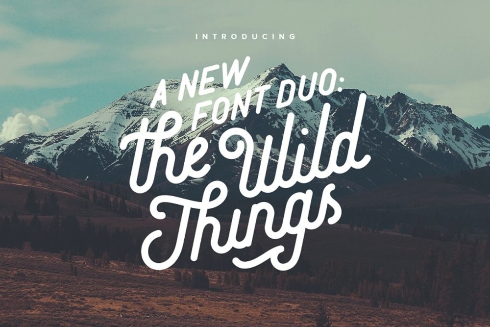 Wild Things font
